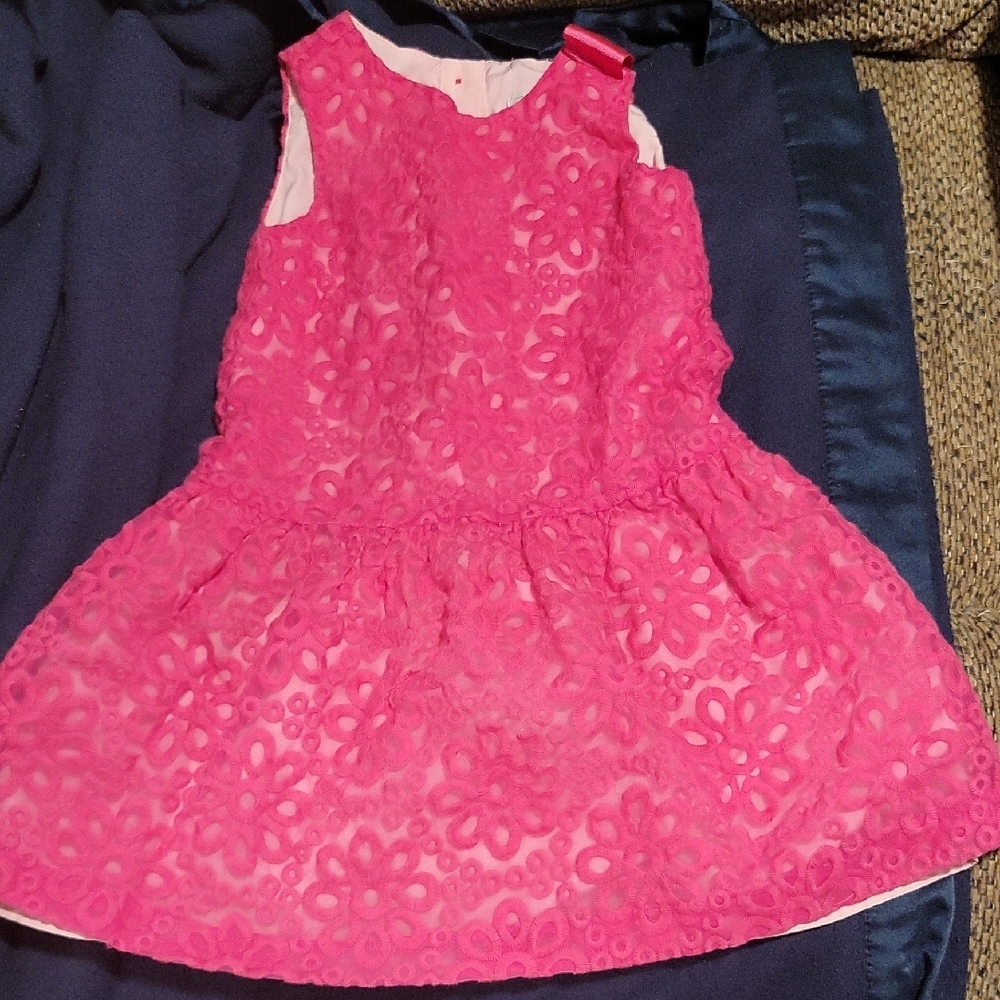 Gymboree Pink Floral Lace Dress
